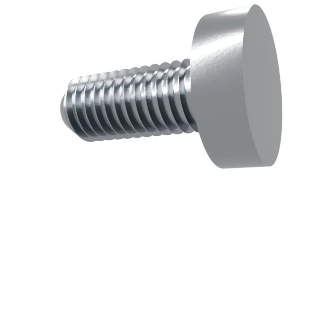 Machine Screws (Pan/Countersunk/Cylinder) M5×12 Stainless 304 —