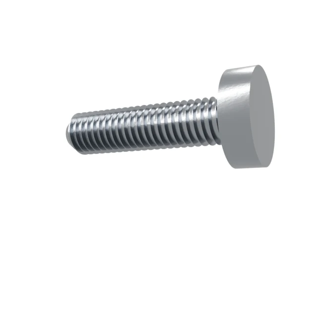 Machine Screws (Pan/Countersunk/Cylinder) M5×20 Stainless 304 —