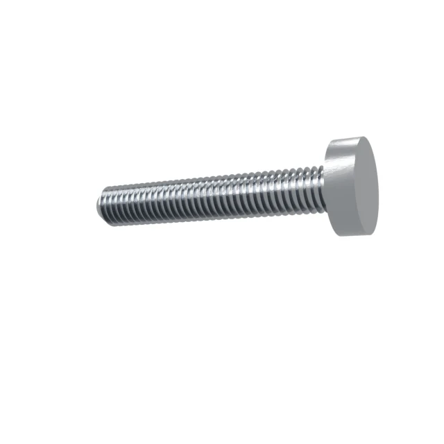 Machine Screws (Pan/Countersunk/Cylinder) M5×30 Stainless 304 —