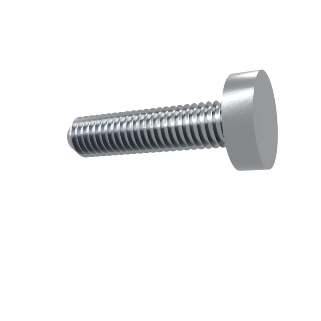 Machine Screws (Pan/Countersunk/Cylinder) M6×25 Stainless 304 —