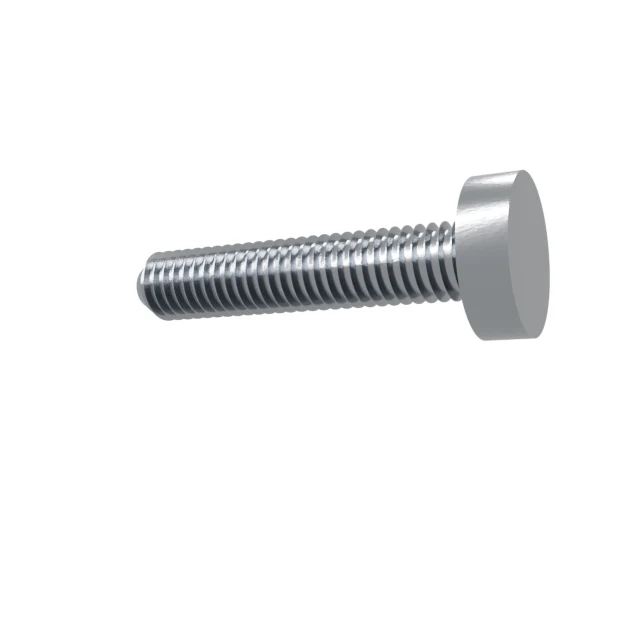 Machine Screws (Pan/Countersunk/Cylinder) M6×30 Stainless 304 —