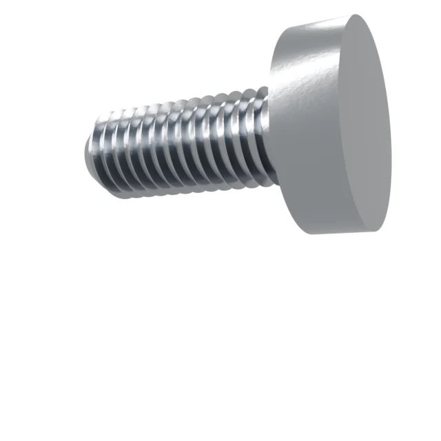 Machine Screws (Pan/Countersunk/Cylinder) M8×20 Stainless 304 —