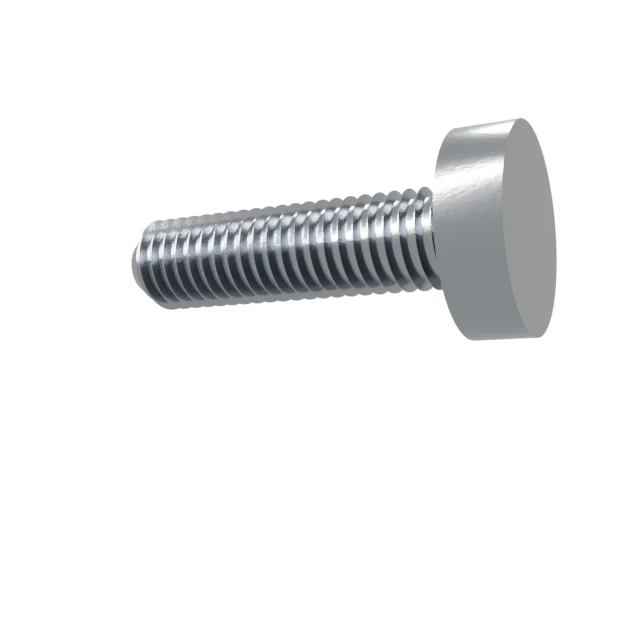 Machine Screws (Pan/Countersunk/Cylinder) M8×30 Stainless 304 —