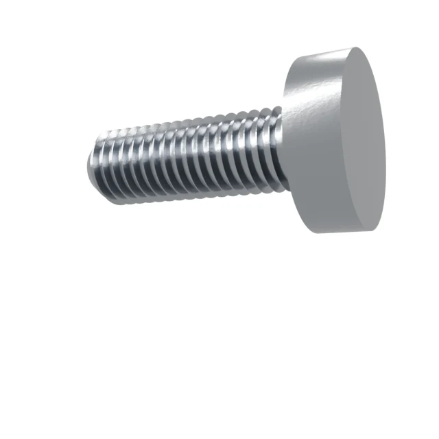 Machine Screws (Pan/Countersunk/Cylinder) M10×30 Stainless 304 —