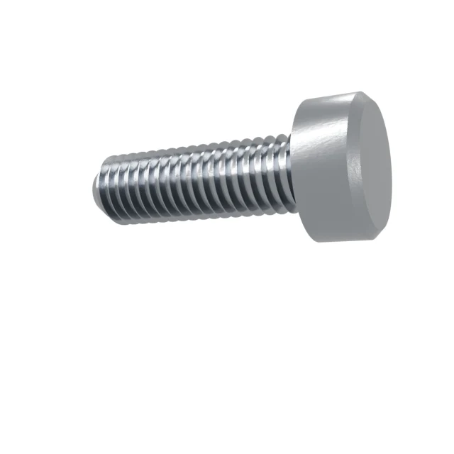 Machine Screws (Pan/Countersunk/Cylinder) M5×16 Stainless 304 —, Product rendering
