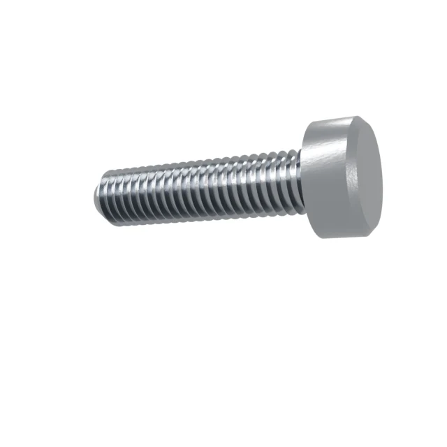 Machine Screws (Pan/Countersunk/Cylinder) M5×20 Stainless 304 —, Product rendering