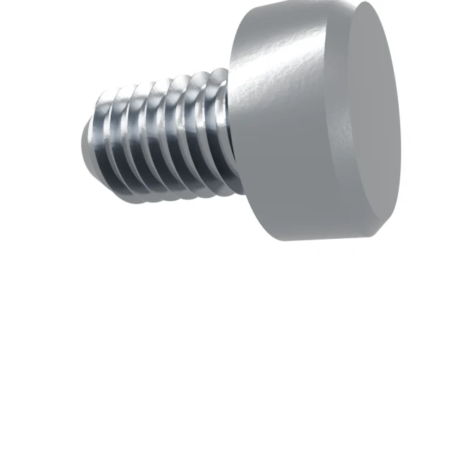 Machine Screws (Pan/Countersunk/Cylinder) M6×10 Stainless 304 —, Product rendering