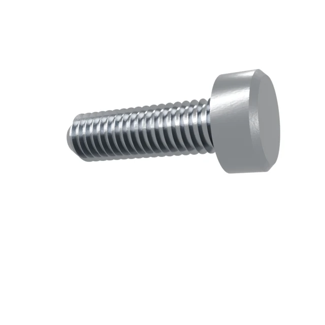 Machine Screws (Pan/Countersunk/Cylinder) M6×20 Stainless 304 —, Product rendering