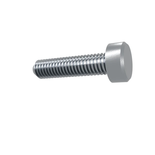Machine Screws (Pan/Countersunk/Cylinder) M6×25 Stainless 304 —, Product rendering