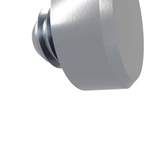 Machine Screws (Pan/Countersunk/Cylinder) M8×6 Stainless 304 —, Product rendering