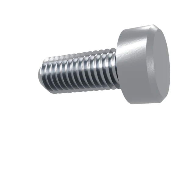 Machine Screws (Pan/Countersunk/Cylinder) M8×20 Stainless 304 —, Product rendering