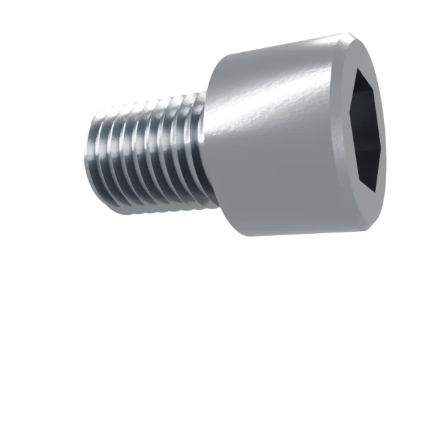 Socket Head Cap Screws M20×30 8.8 Carbon Steel Zinc Plated